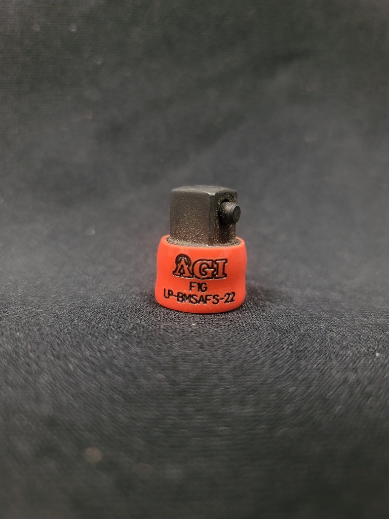 LP-BMSAFS-22.K