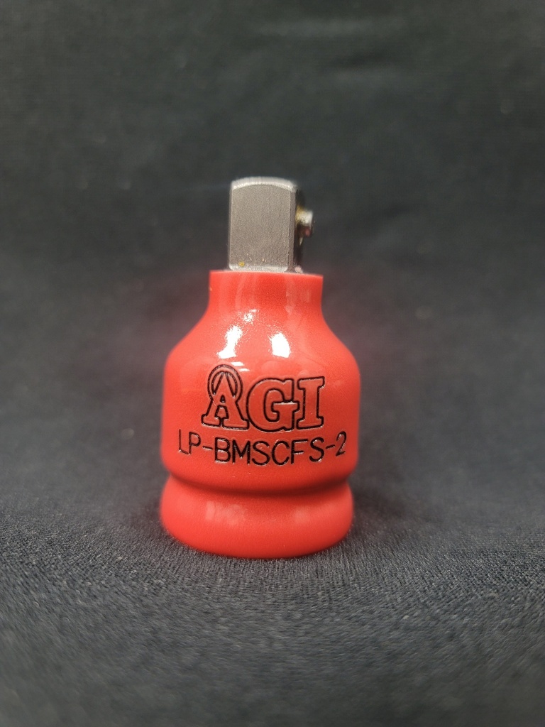 LP-BMSCFS-2.M