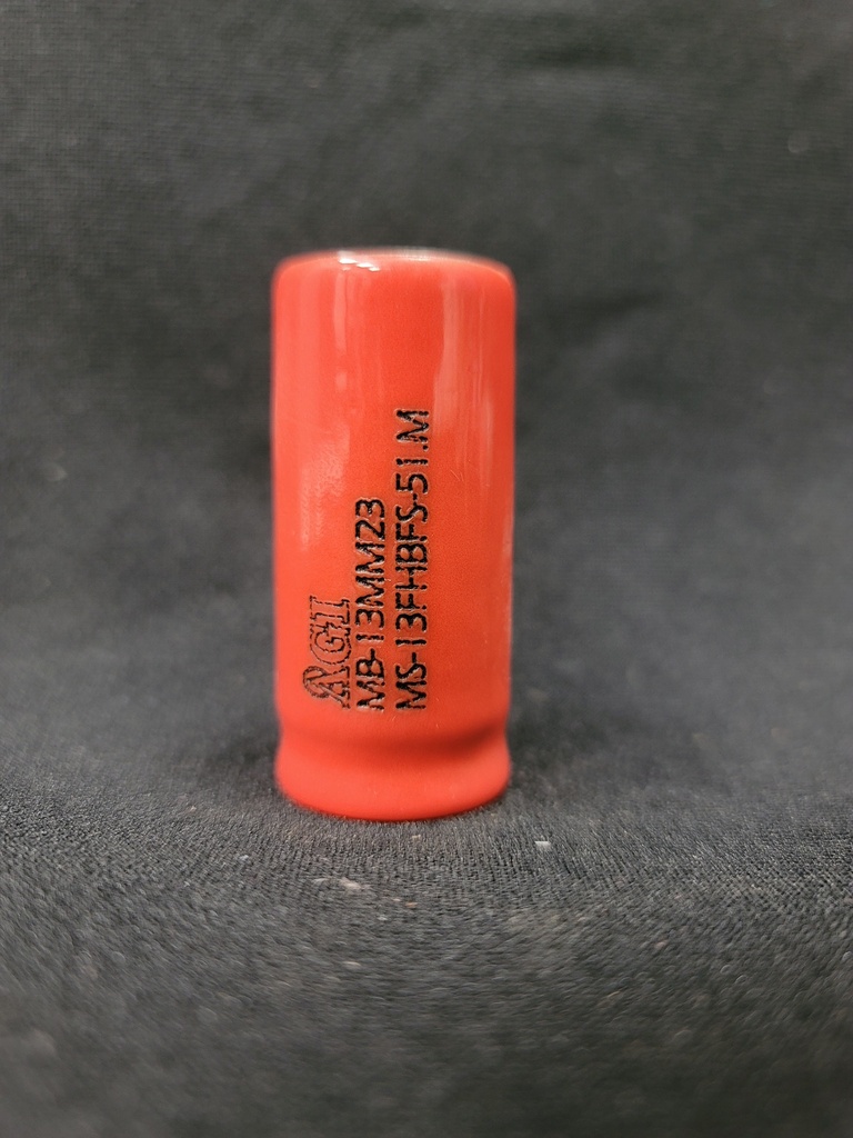 MS-13FHBFS-51.M