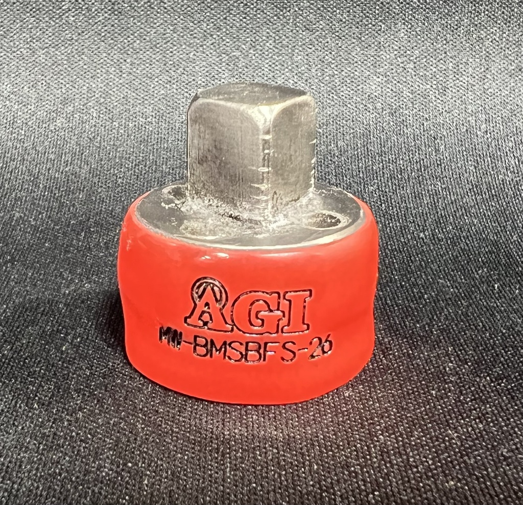 MW-BMSBFS-26.AGI