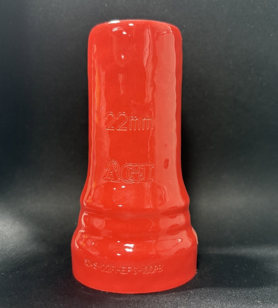 SDMS-22FHEFS-100PB.K