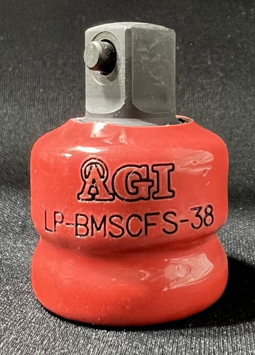 LP-BMSCFS-38.K