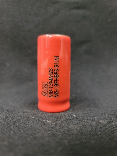 MS-13FHBFS-51.M