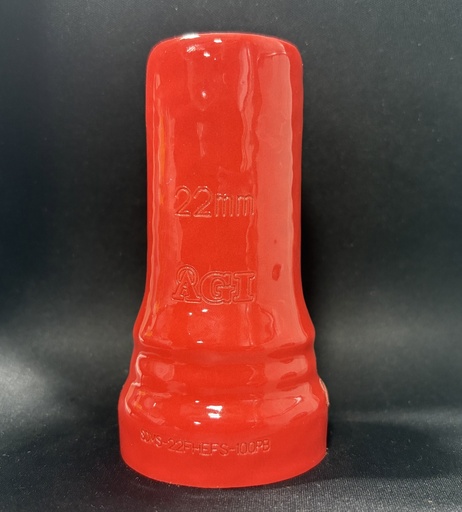 SDMS-22FHEFS-100PB.K